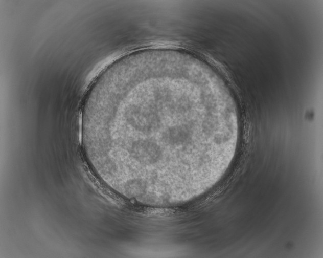 X0000115071171200912081141