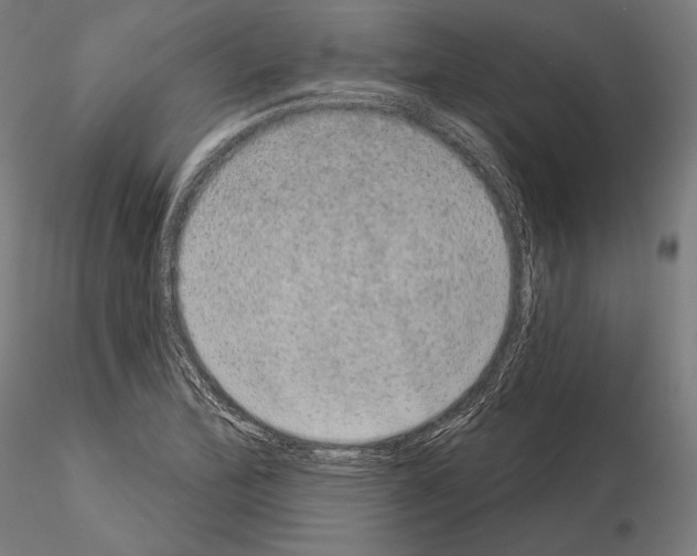 X0000115071172200912081141