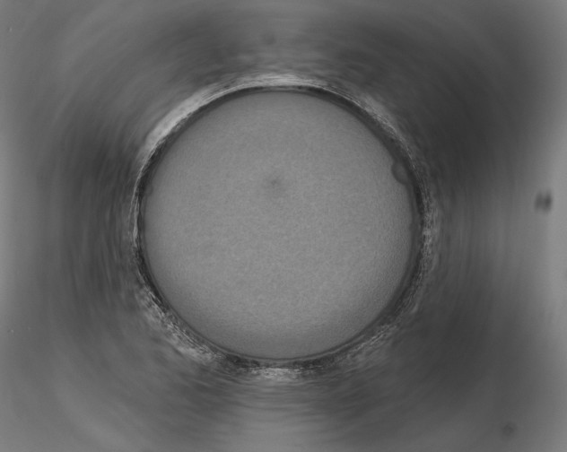 X0000115071173200912081141