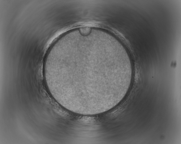 X0000115071174200912081141