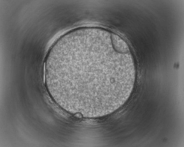 X0000115071175200912081141