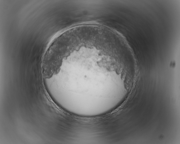 X0000115071176200912081141