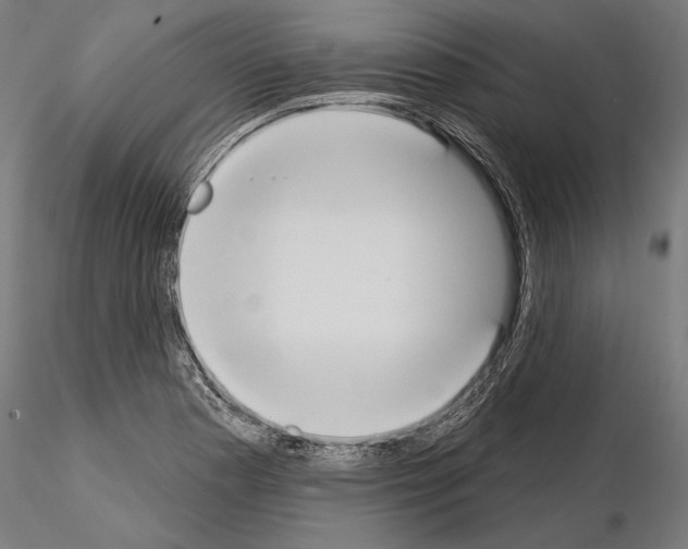 X0000115071177200912081141