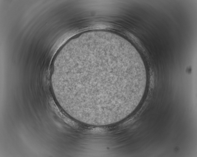 X0000115071178200912081141