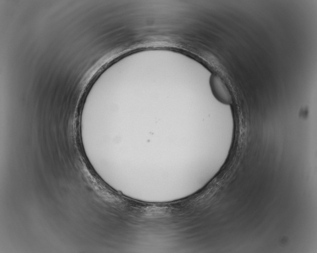 X0000115071181200912081141