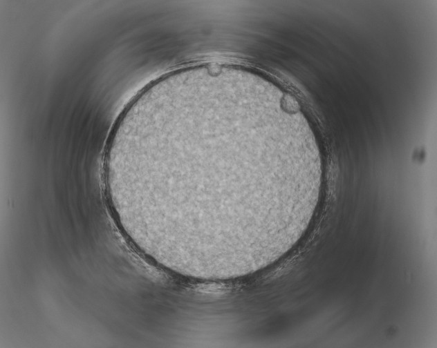 X0000115071182200912081141