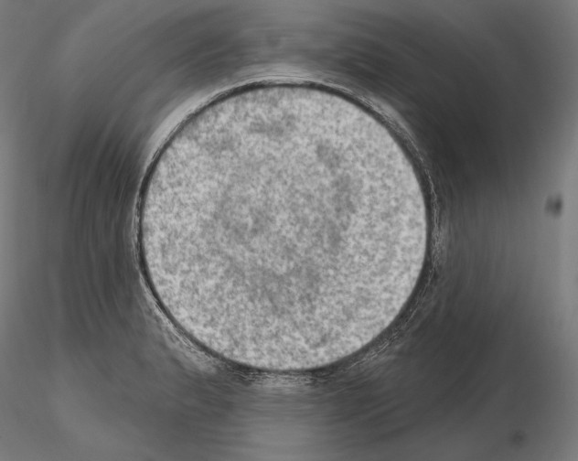 X0000115071183200912081141