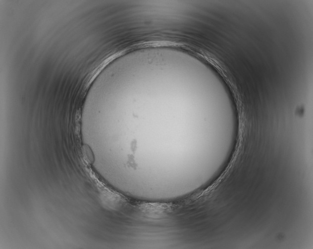 X0000115071185200912081141