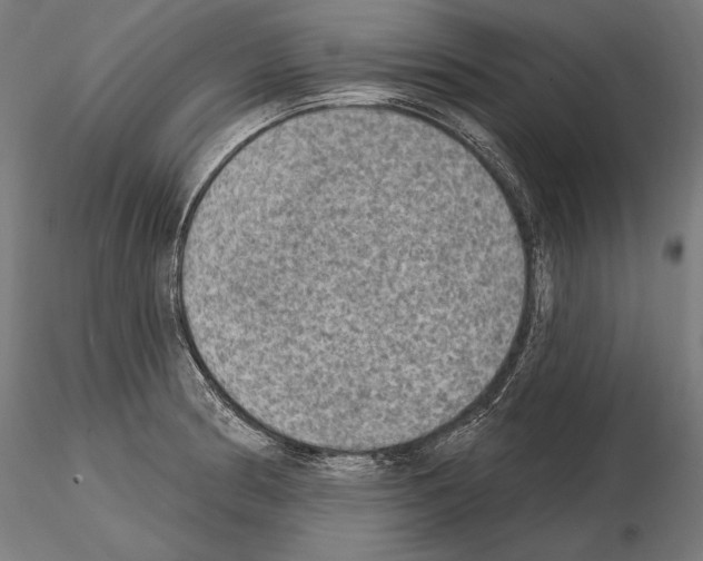 X0000115071186200912081141