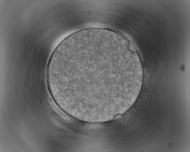 X0000115071187200912081141