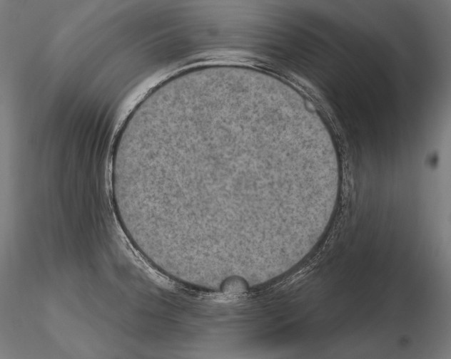X0000115071188200912081141