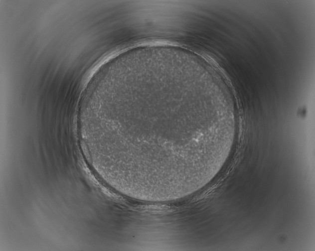 X0000115071189200912081140