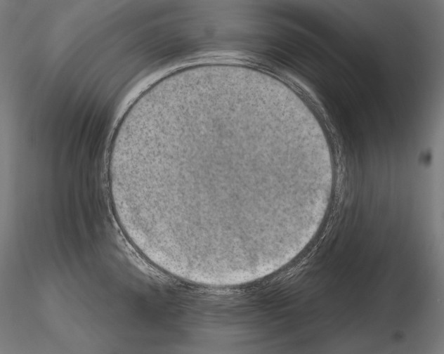 X0000115071192200912081140