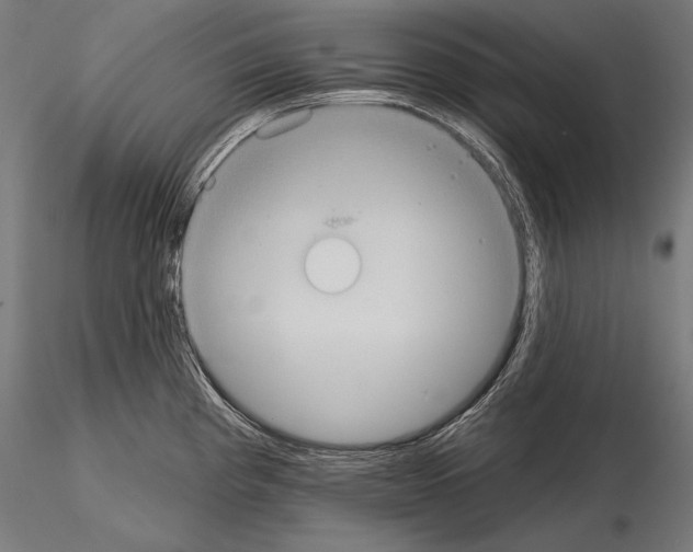 X0000115071193200912081140