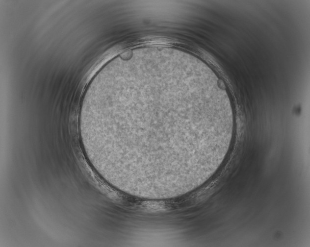 X0000115071194200912081140