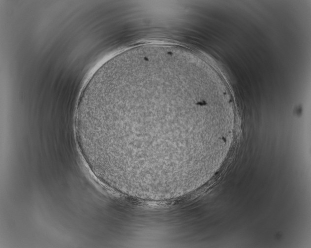 X0000115071195200912081140