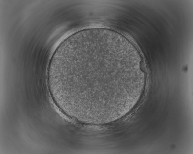 X0000115071197200912081140