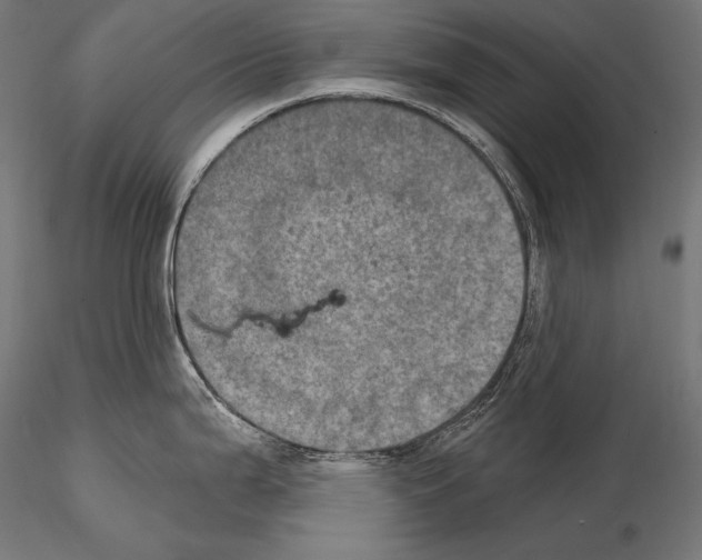 X0000115071199200912081140