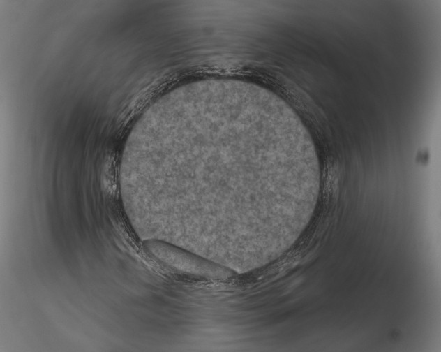 X0000115071202200912081140