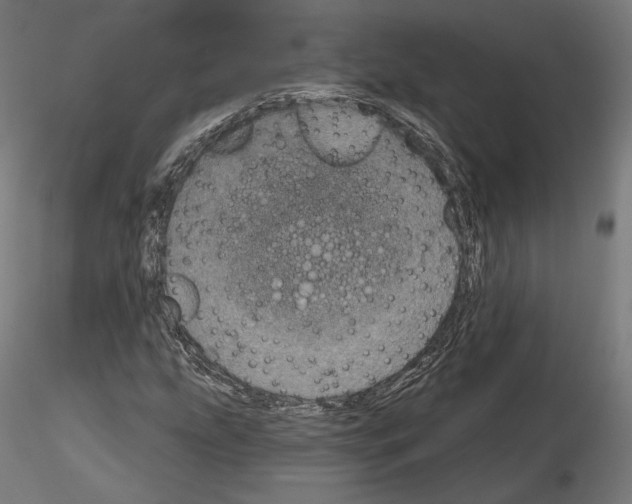 X0000115071207200912081140