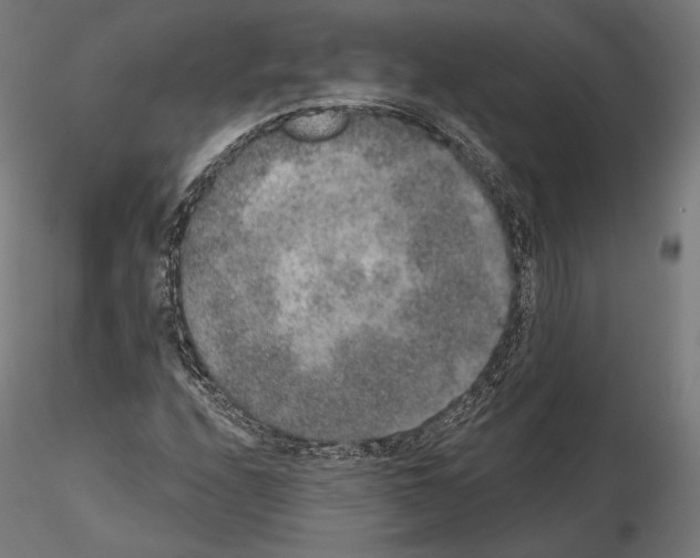 X0000115071208200912081140