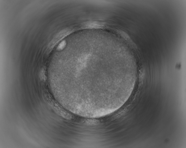 X0000115071209200912081140