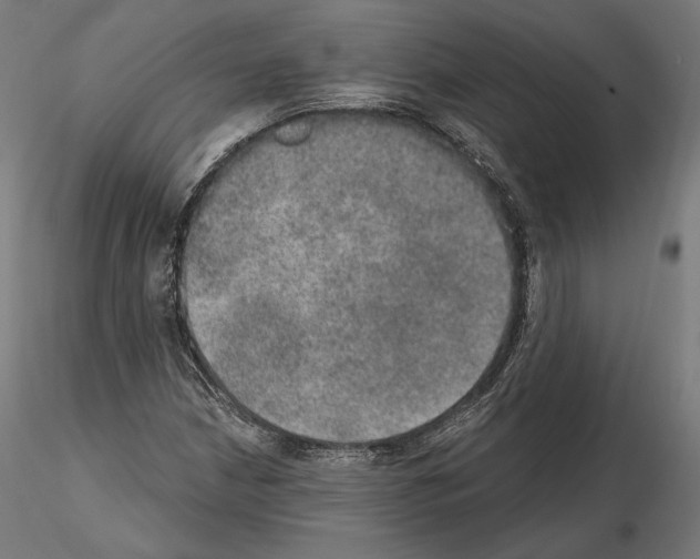 X0000115071210200912081140