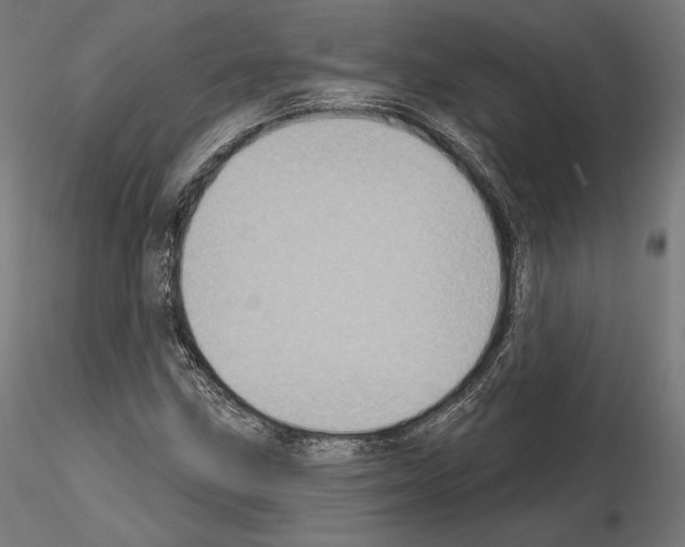 X0000115071211200912081140