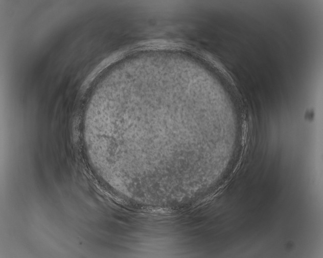 X0000115071213200912081140