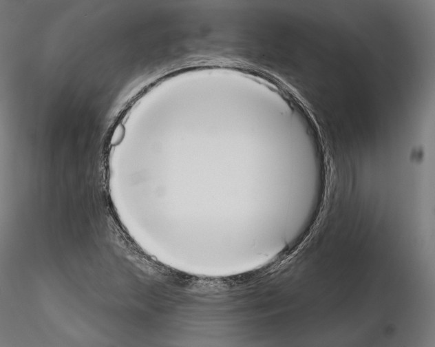 X0000115071215200912081140