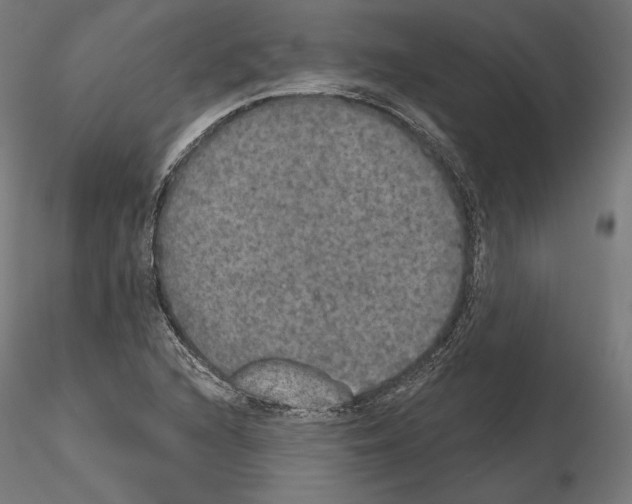 X0000115071216200912081140