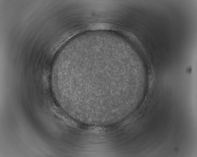X0000115071217200912081140