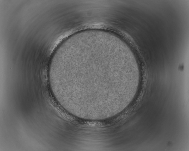 X0000115071218200912081140