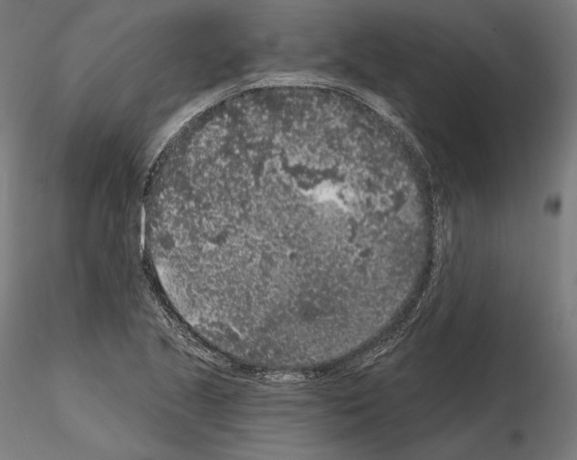 X0000115071221200912081140