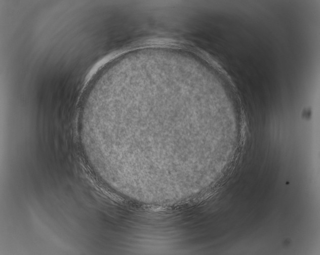 X0000115071222200912081140