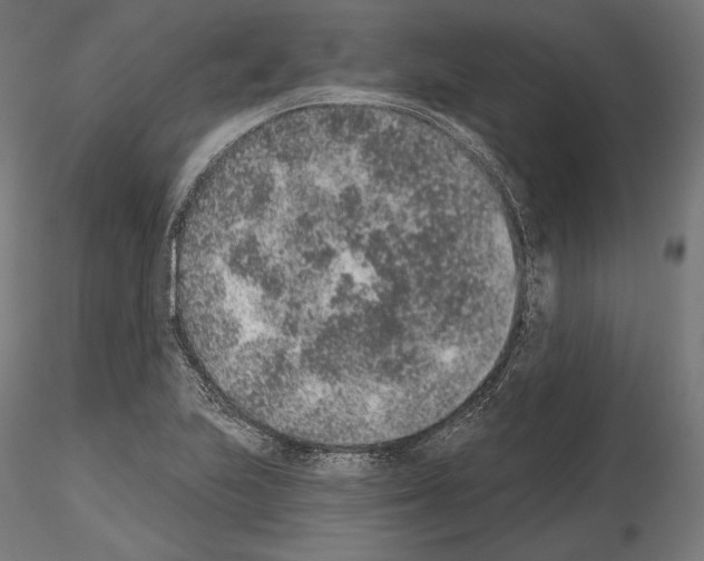 X0000115071223200912081140