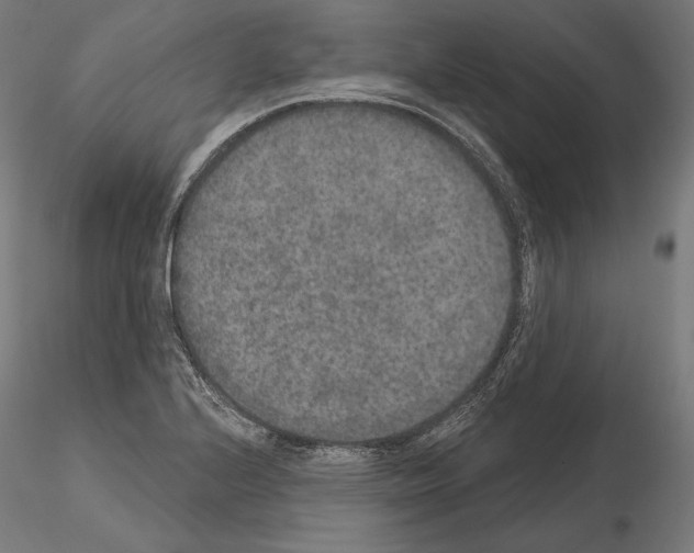 X0000115071224200912081140