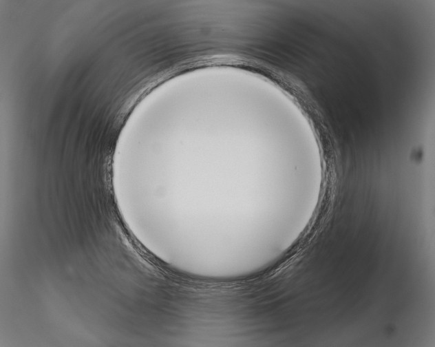 X0000115071225200912081140