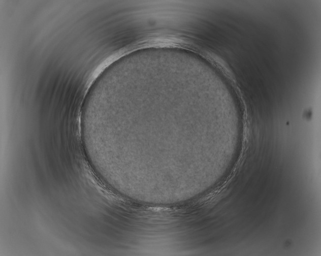 X0000115071226200912081140