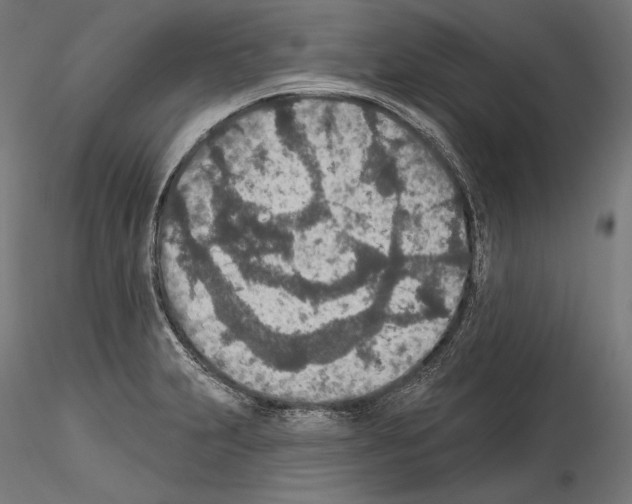 X0000115071231200912081140