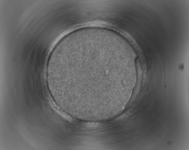 X0000115071232200912081140