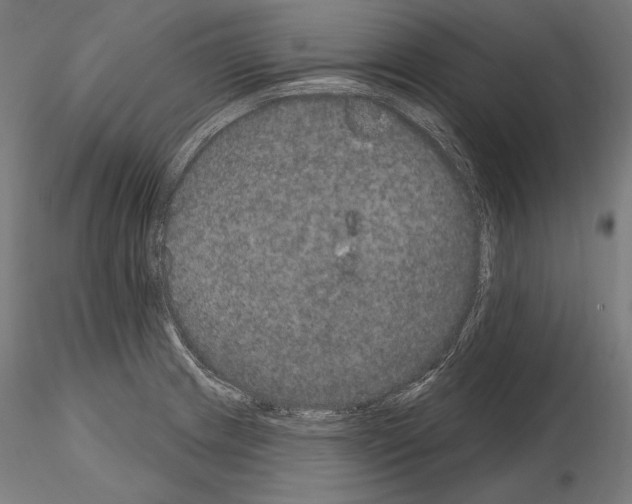 X0000115071233200912081140