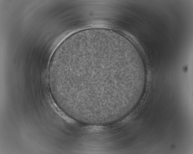 X0000115071236200912081140