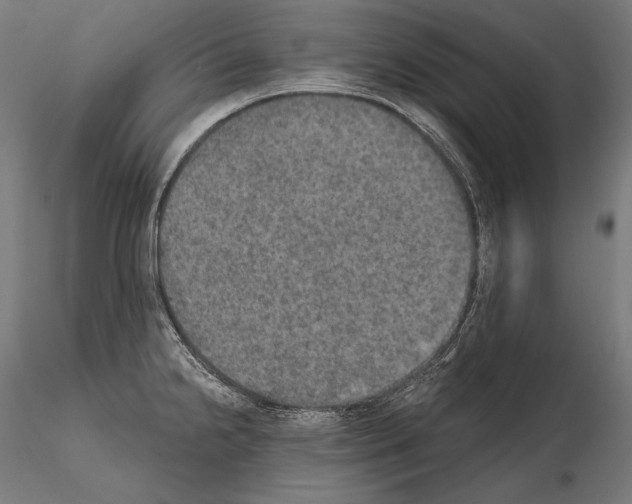 X0000115071238200912081140