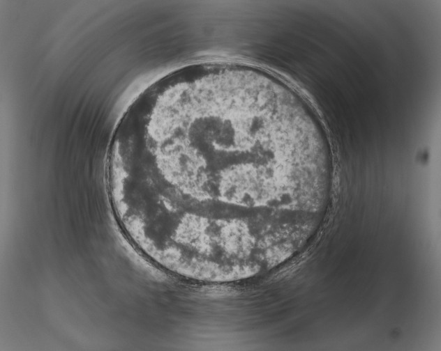 X0000115071239200912081140