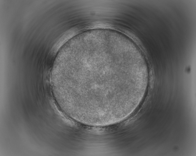 X0000115071241200912081140