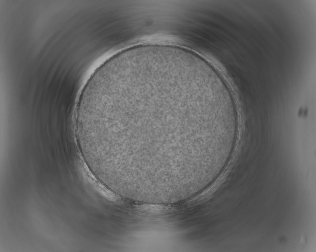 X0000115071248200912081140