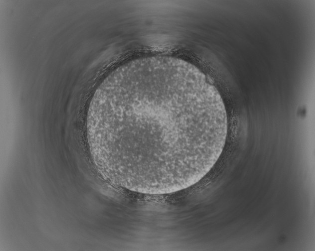 X0000115071249200912081140