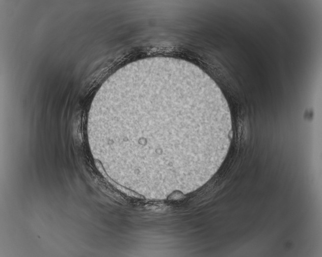 X0000115071250200912081140