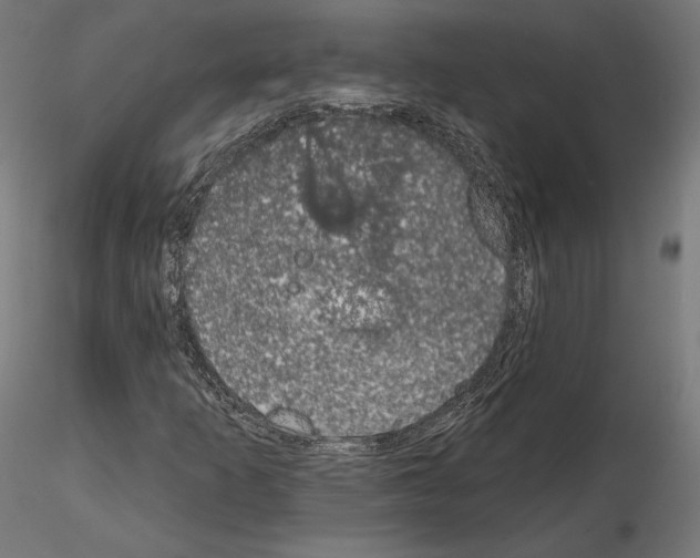 X0000115071253200912081140